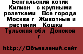 Бенгальский котик Килиан , с крупными розетками - Все города, Москва г. Животные и растения » Кошки   . Тульская обл.,Донской г.